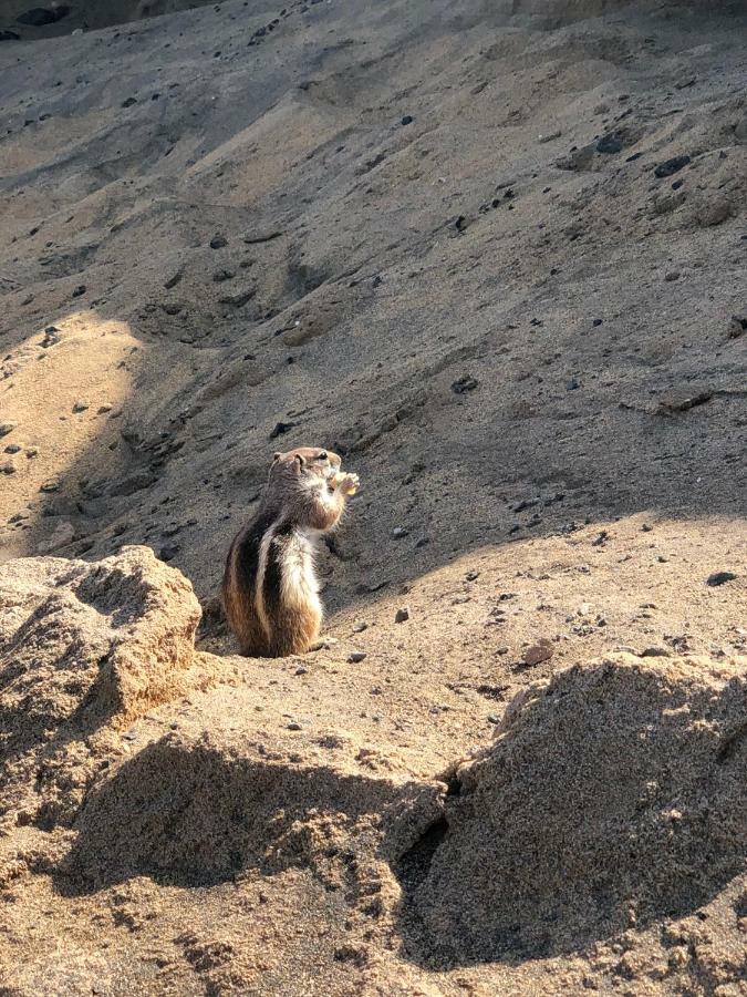 Fuerteventura Resort Bouganville Costa De Antigua Kültér fotó